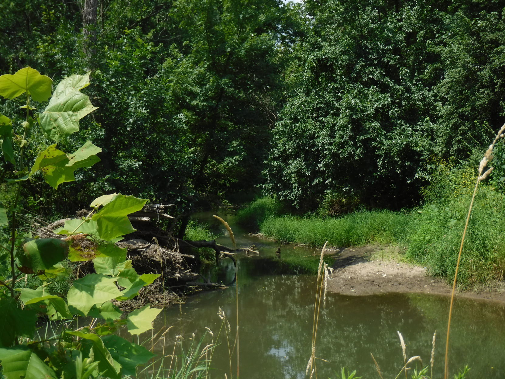 082519-blm-lif-9greenways